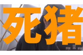 乐至乐至讨债公司服务