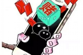 乐至专业催债公司的市场需求和前景分析